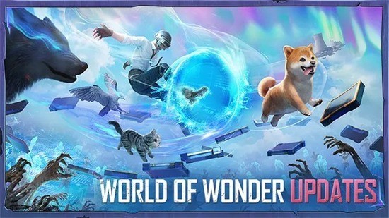 PUBGǷ°汾-pubgǷ°v2.8.0
