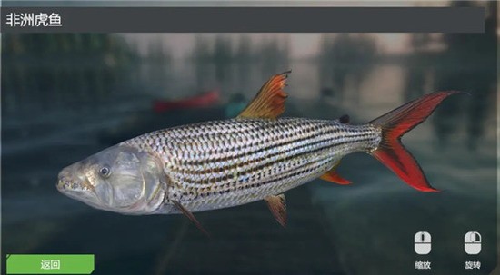 ռģ޽Ұ3
