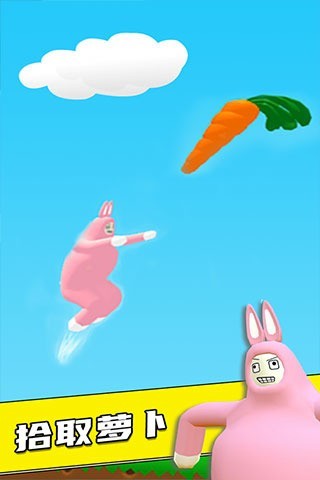 ˫app