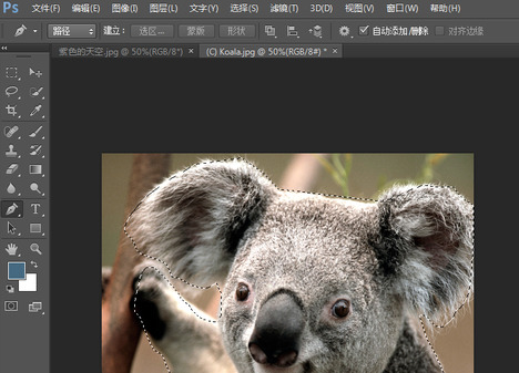 photoshop2022ٷ