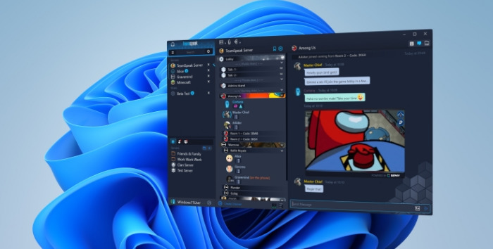 Teamspeak3 (3)