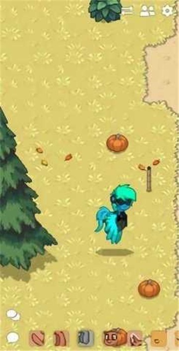 ponytownİС2