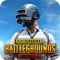 PUBG2.7.0汾ֱӰװ