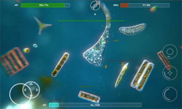 孢子生物进化手机版下载1