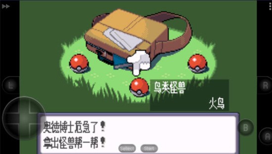 ڴʯֻ3