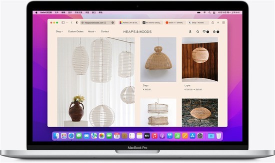 SafariMac3