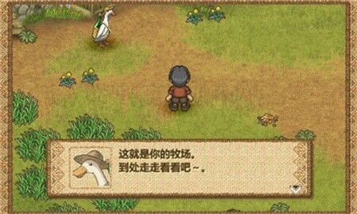 ӭֻ溺2