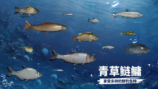 ֻ治õ¼