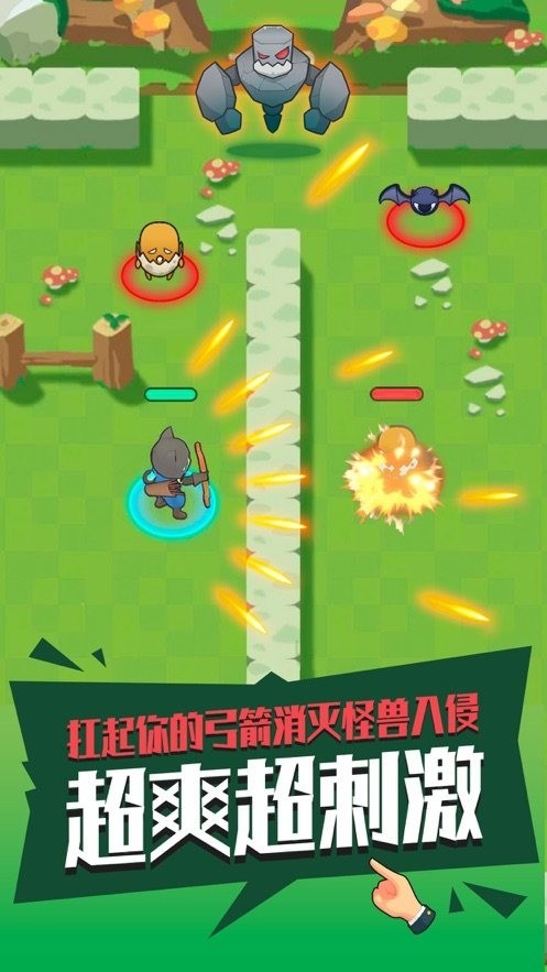  (2)