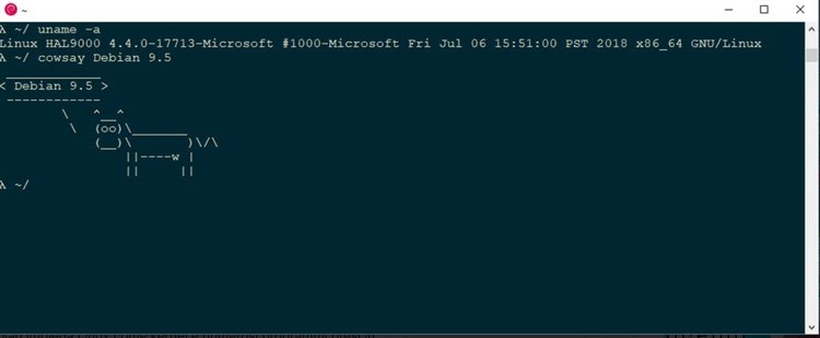 debian11 (3)