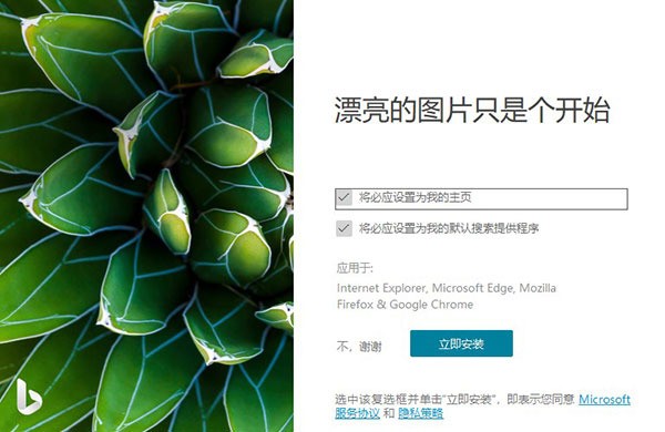 bing wallpaper԰ (1)